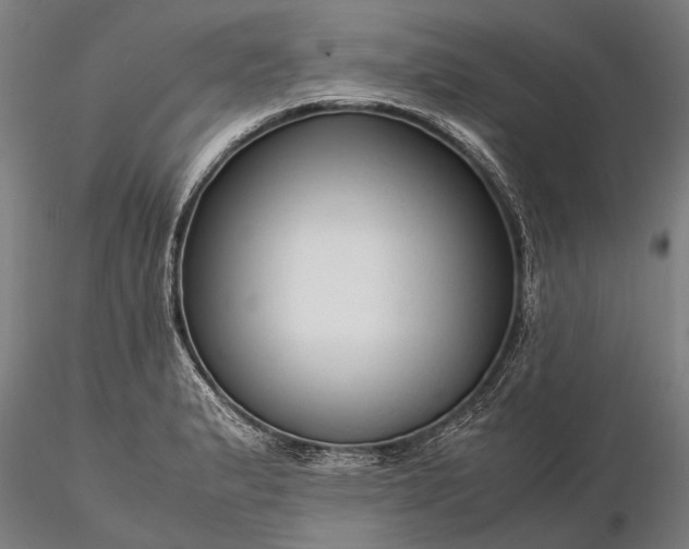 X0000116371183200912161431