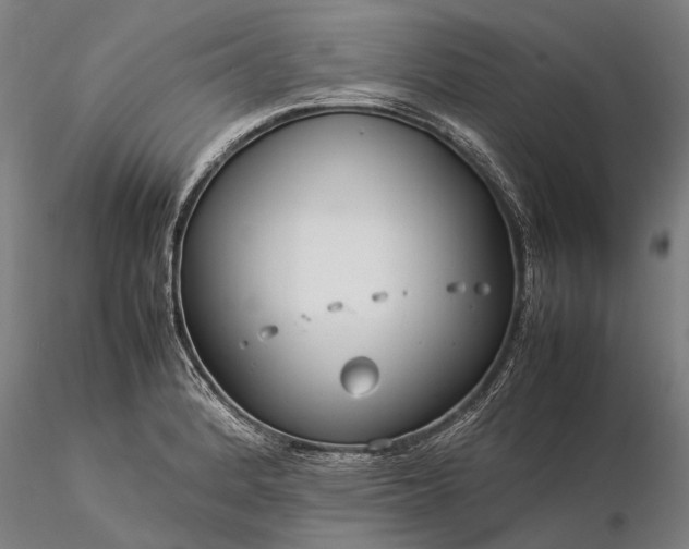 X0000116371184200912161431