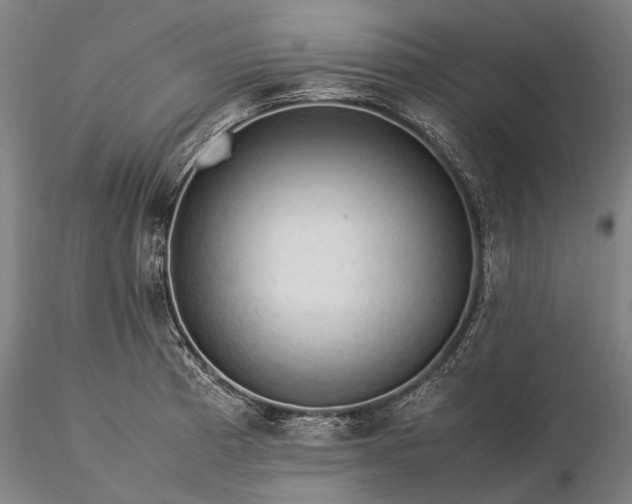 X0000116371185200912161431