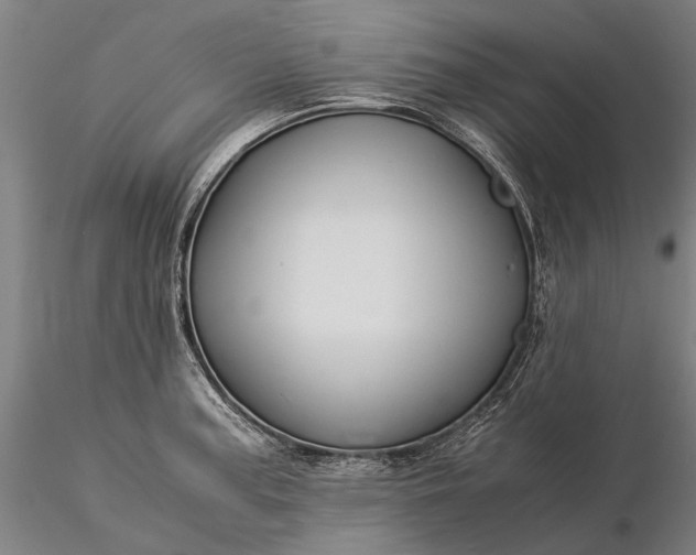 X0000116371187200912161431