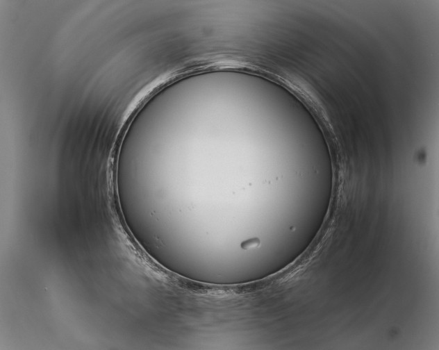 X0000116371190200912161431