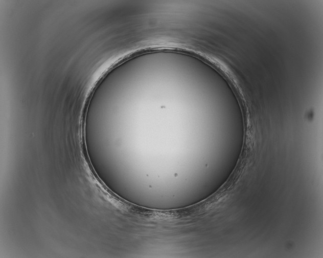 X0000116371191200912161431