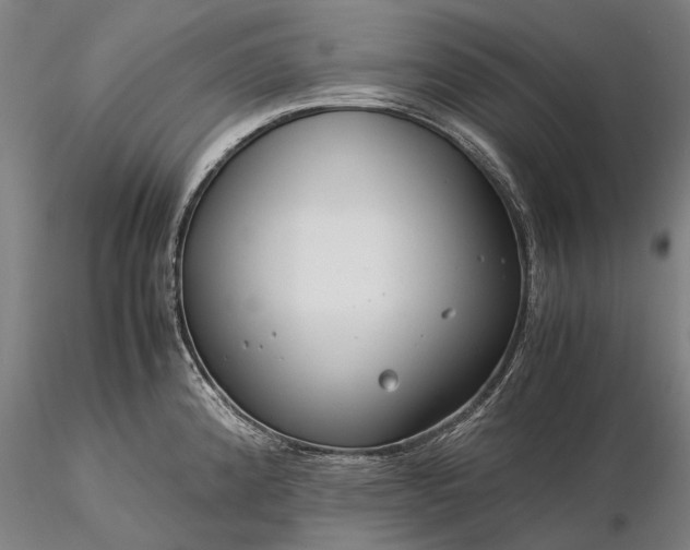 X0000116371192200912161431