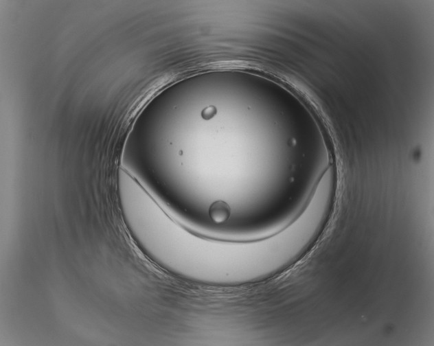 X0000116371193200912161431