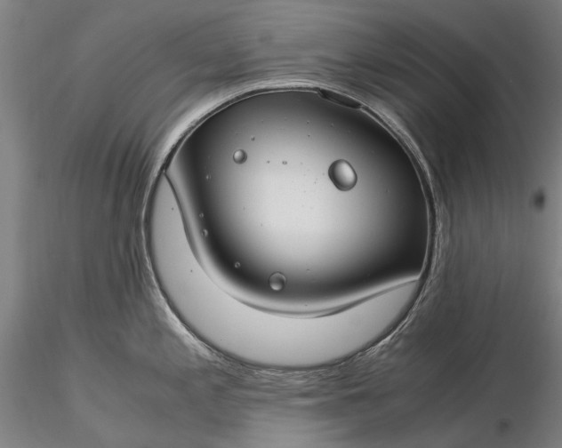 X0000116371197200912161431