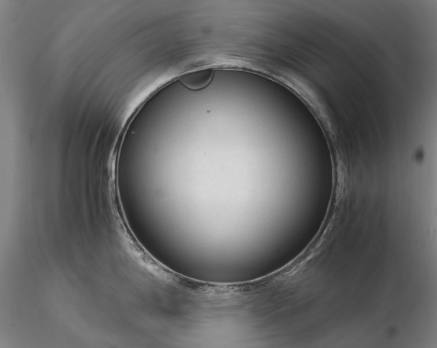 X0000116371198200912161431