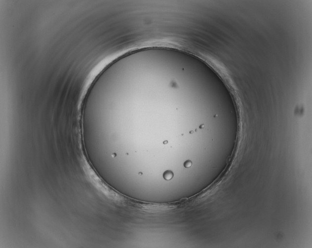 X0000116371200200912161431