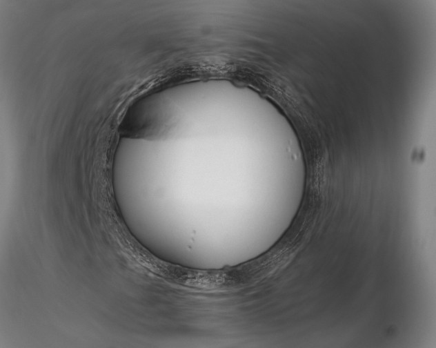 X0000116371201200912161430