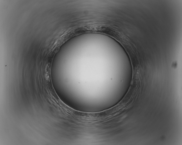 X0000116371202200912161430