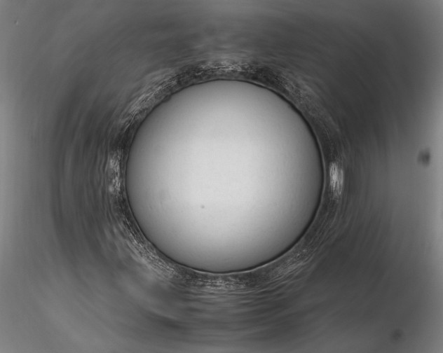 X0000116371203200912161430