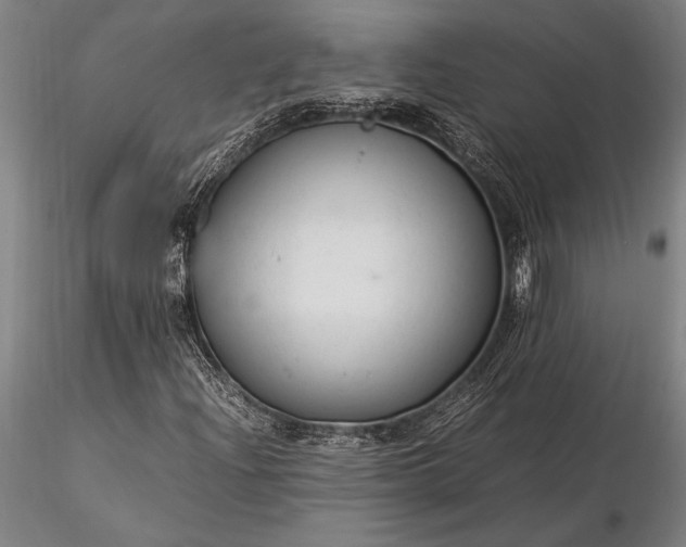 X0000116371204200912161430