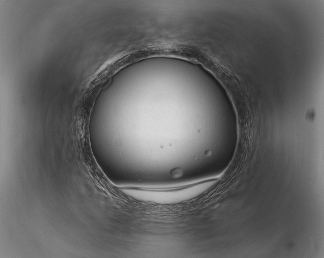 X0000116371206200912161430