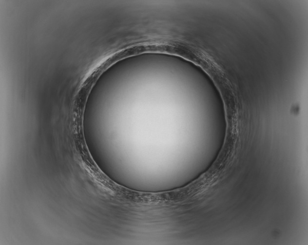 X0000116371208200912161430