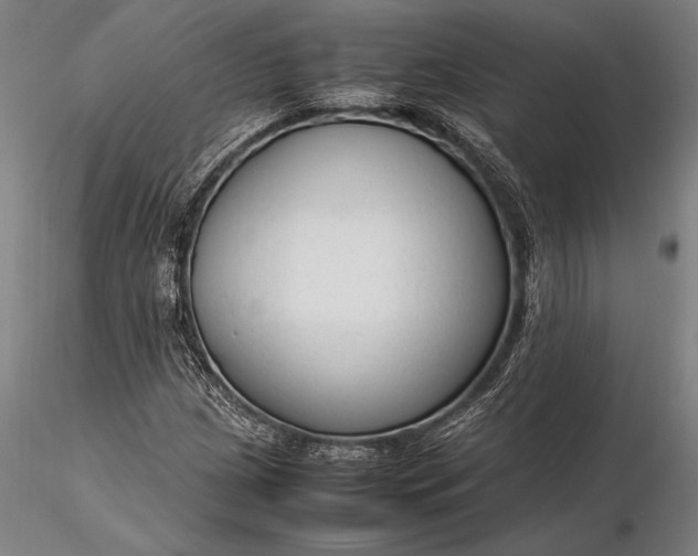 X0000116371209200912161430