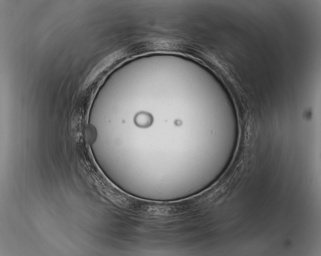 X0000116371211200912161430