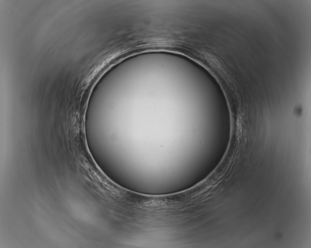 X0000116371212200912161430