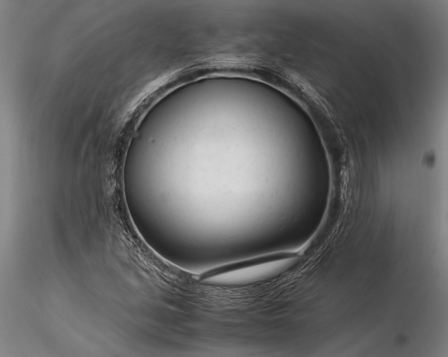 X0000116371213200912161430