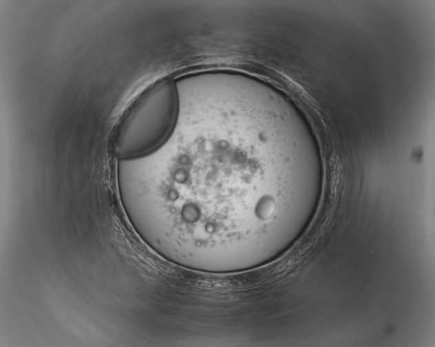 X0000116371215200912161430