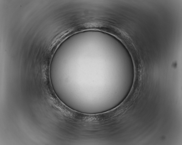 X0000116371217200912161430