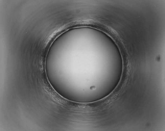 X0000116371218200912161430