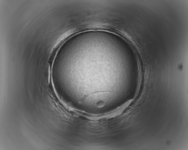 X0000116371219200912161430