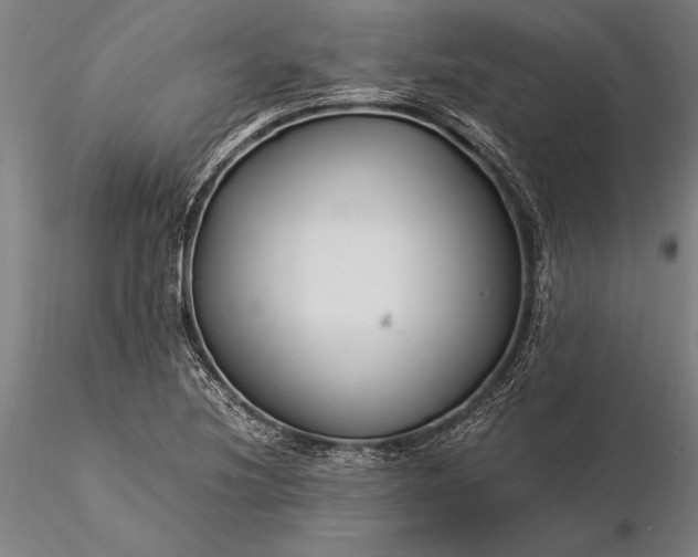 X0000116371220200912161430