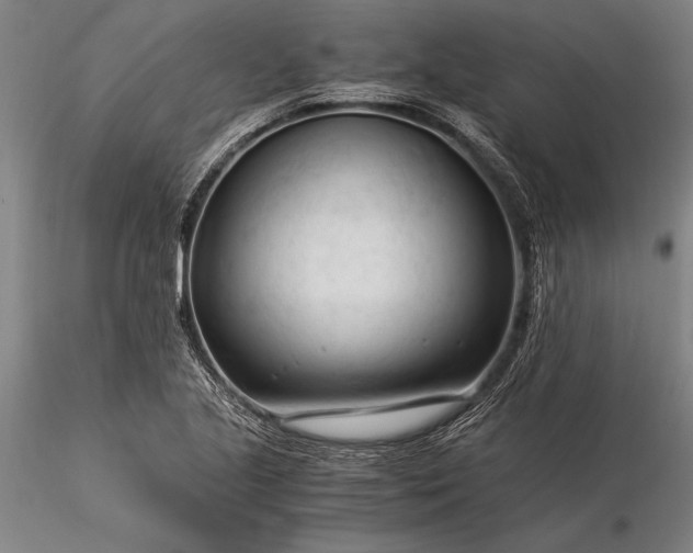 X0000116371221200912161430