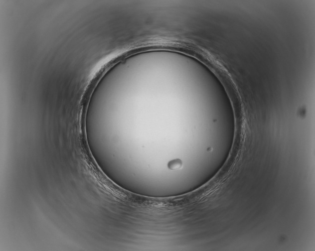 X0000116371222200912161430