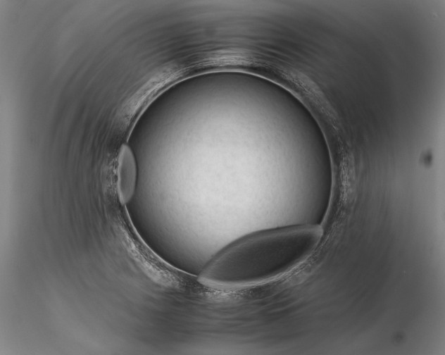 X0000116371225200912161430