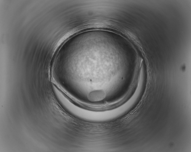 X0000116371226200912161430