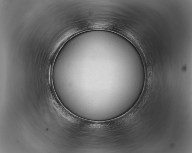 X0000116371227200912161430