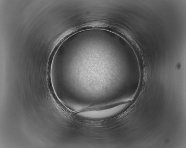 X0000116371229200912161430