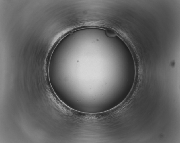 X0000116371230200912161430