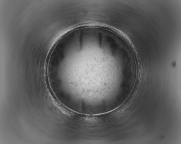 X0000116371231200912161431