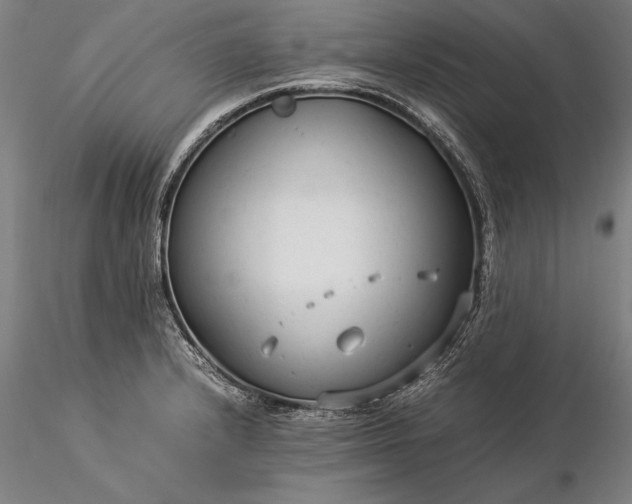 X0000116371232200912161431