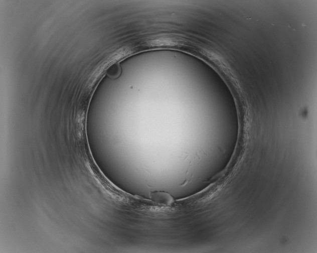 X0000116371233200912161431