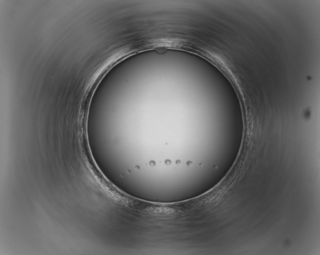 X0000116371235200912161431