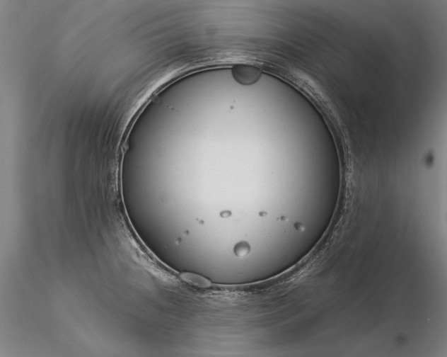 X0000116371236200912161431