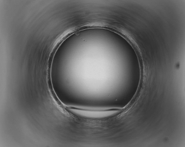 X0000116371237200912161431