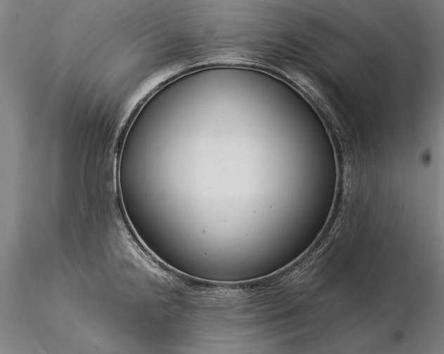 X0000116371238200912161431