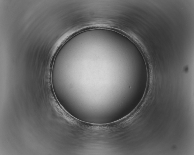 X0000116371240200912161431