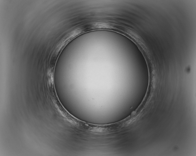 X0000116371241200912161431