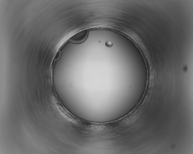 X0000116371242200912161431