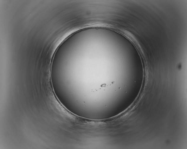 X0000116371244200912161431