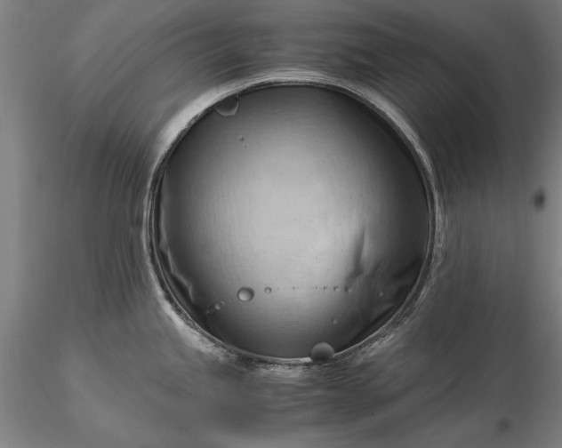 X0000116371245200912161431