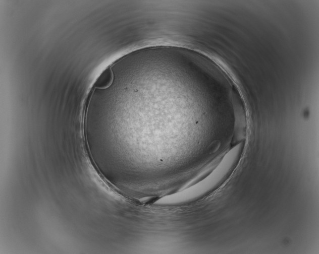 X0000116371246200912161431