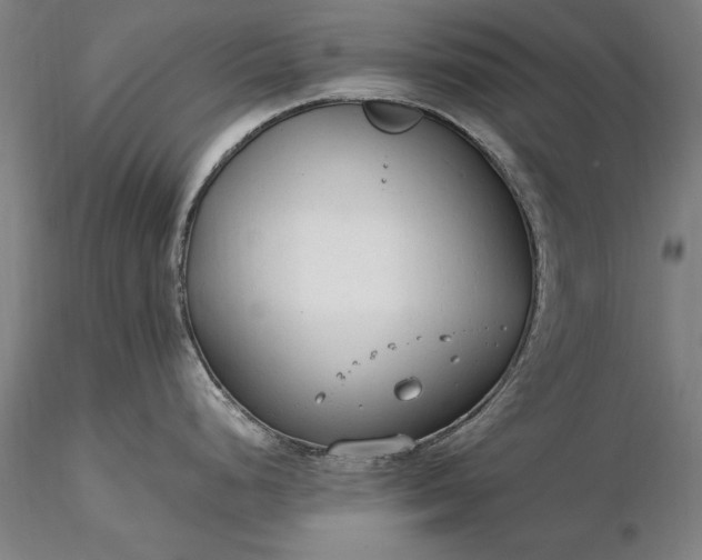 X0000116371248200912161431