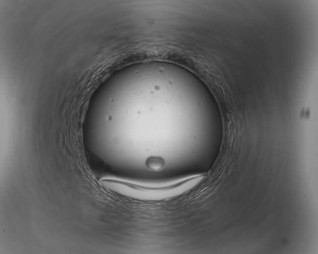 X0000116371249200912161430