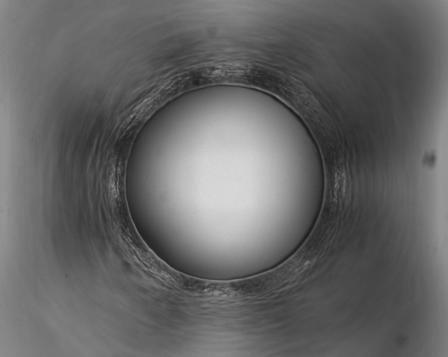 X0000116371250200912161430