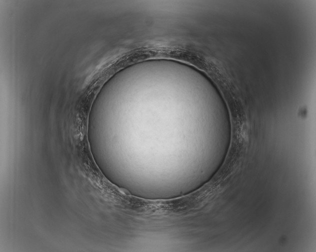 X0000116371253200912161430